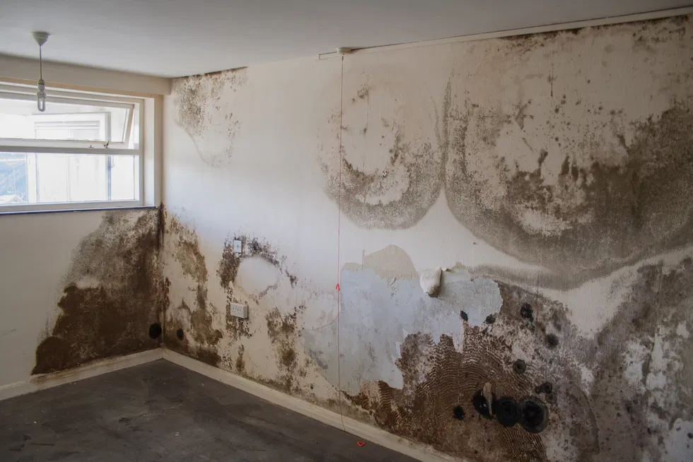 Wall Dampness